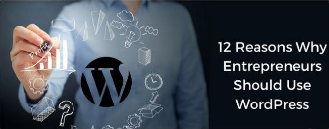 12 Best Reasons Why Entrepreneurs Should Use WordPress