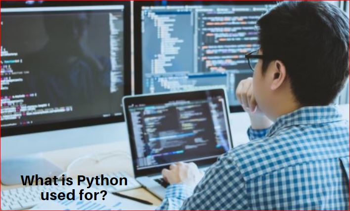 What is Python Used for in the Major Industries?